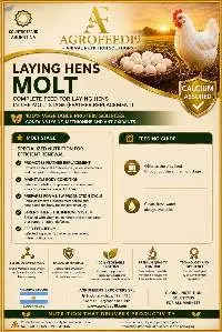 The Molting Stage Layer Feed