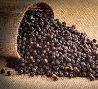 Pepper