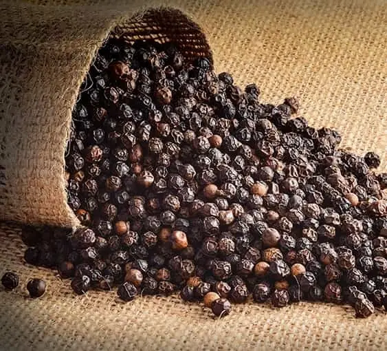 Pepper