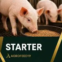 Starter Line