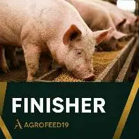 Finisher Line