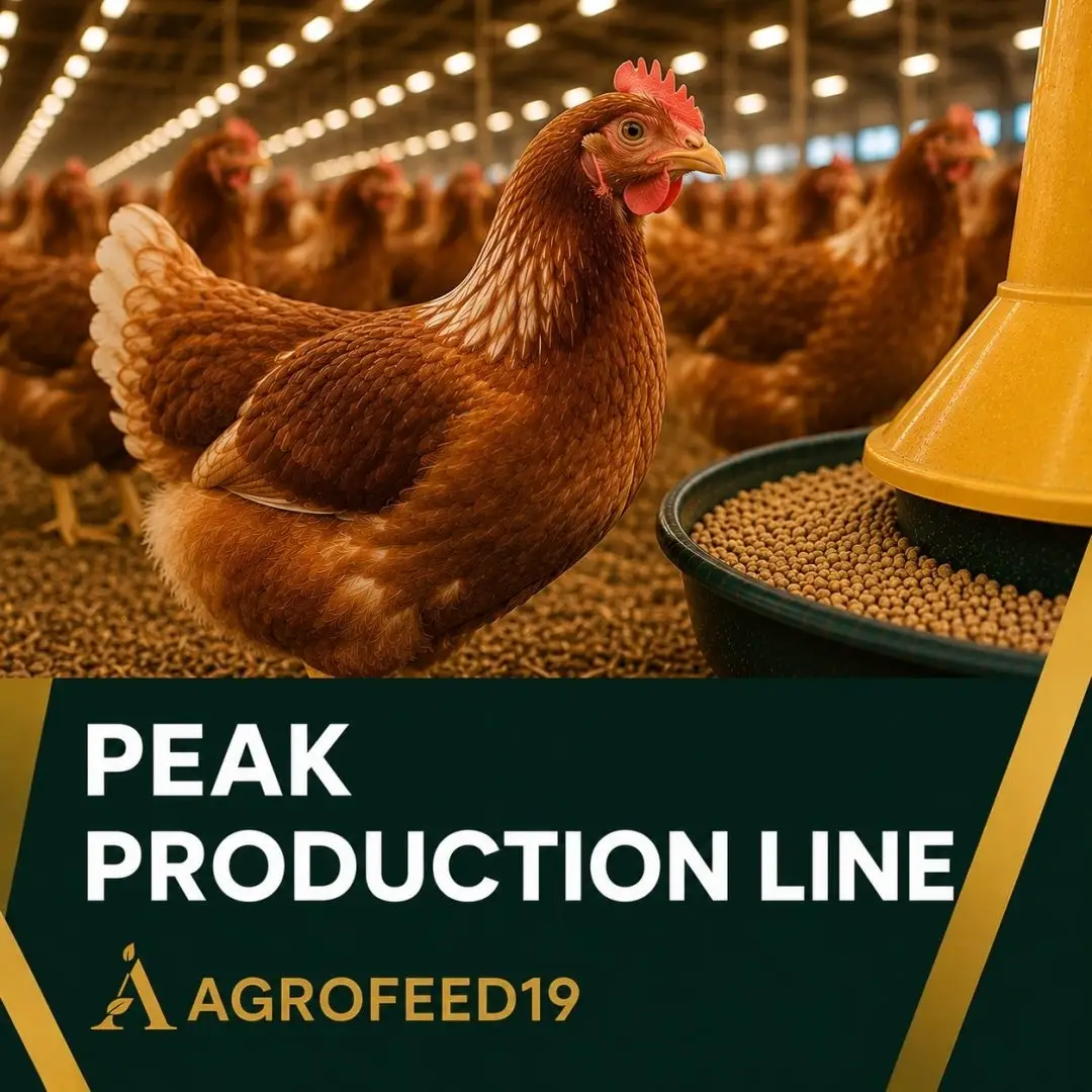 Peak Production Line