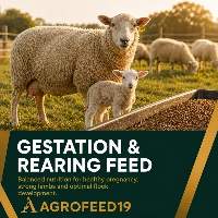 Gestation & Rearing Feed