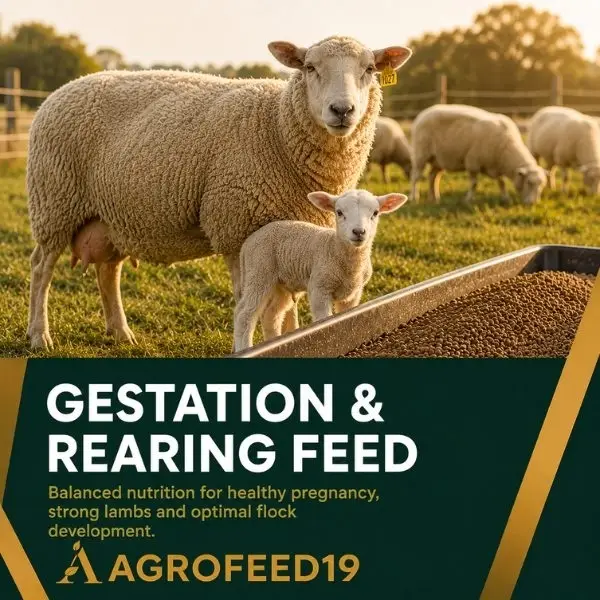 Gestation & Rearing Feed