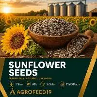 Sunflower Seed