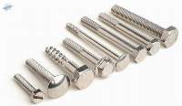 Stainless Steel Hex Bolts - SS304/316