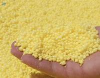 High Quality 99% Purity Granulated Sulphur