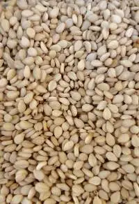 White Sesame