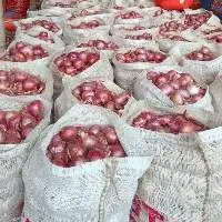 Fresh Red Onions (Nashik Variety)