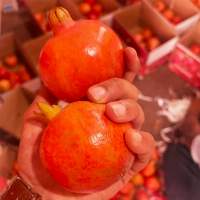 Fresh Red Pomegranate