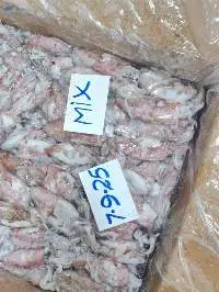 Squid Mix