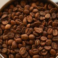 Premium Indian Coffee Beans Export Quality
