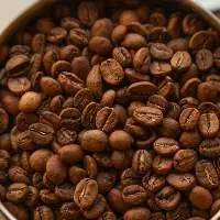 Premium Indian Coffee Beans Export Quality