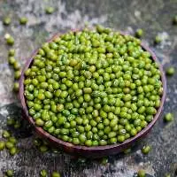 Premium Green Gram Whole Export Quality