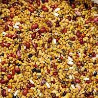 Premium Black Gram Urad Dal Beans