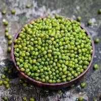 Premium Green Gram Moong Dal Beans
