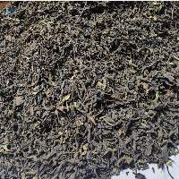 Export Grade Authentic Mizoram Yellow Tea