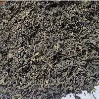 Export Grade Authentic Mizoram Yellow Tea