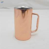 Double Wall Beer Mugs