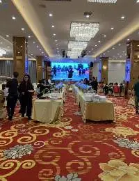 Hotel Banquet Hall Customized Nylon Carpets