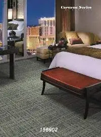 Modern Design Hotel Room Carpets