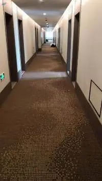 Customized Hallway Wall To Wall Carpet
