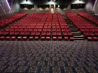 100% Nylon Cinema Movie Hall Theatre Carpet