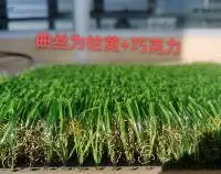 synthetic grass roll  / artificial grass