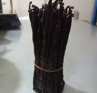 Vanilla Beans