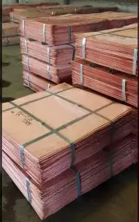 Copper Cathode