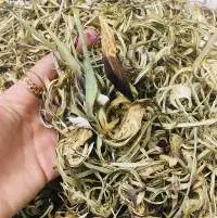 Dried Artichoke Flowers