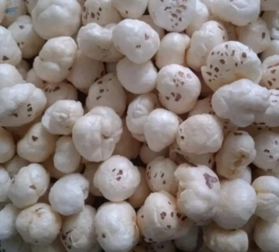Premium Handpicked Quality Fox Nuts