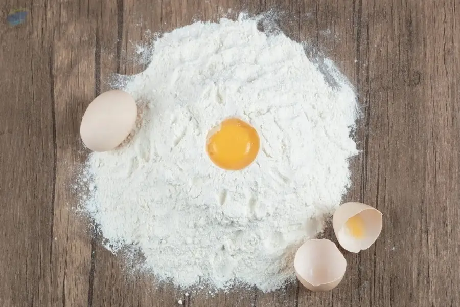 100% Premium Quality Egg White Powder