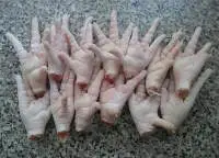 Frozen Chicken Paws