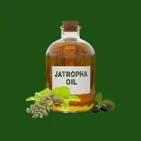 Jatropha Oil
