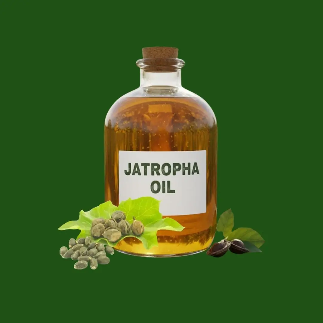 Jatropha Oil