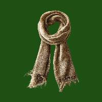 Cashmere Shawl/Scarf