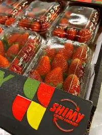 Fresh Strawberry