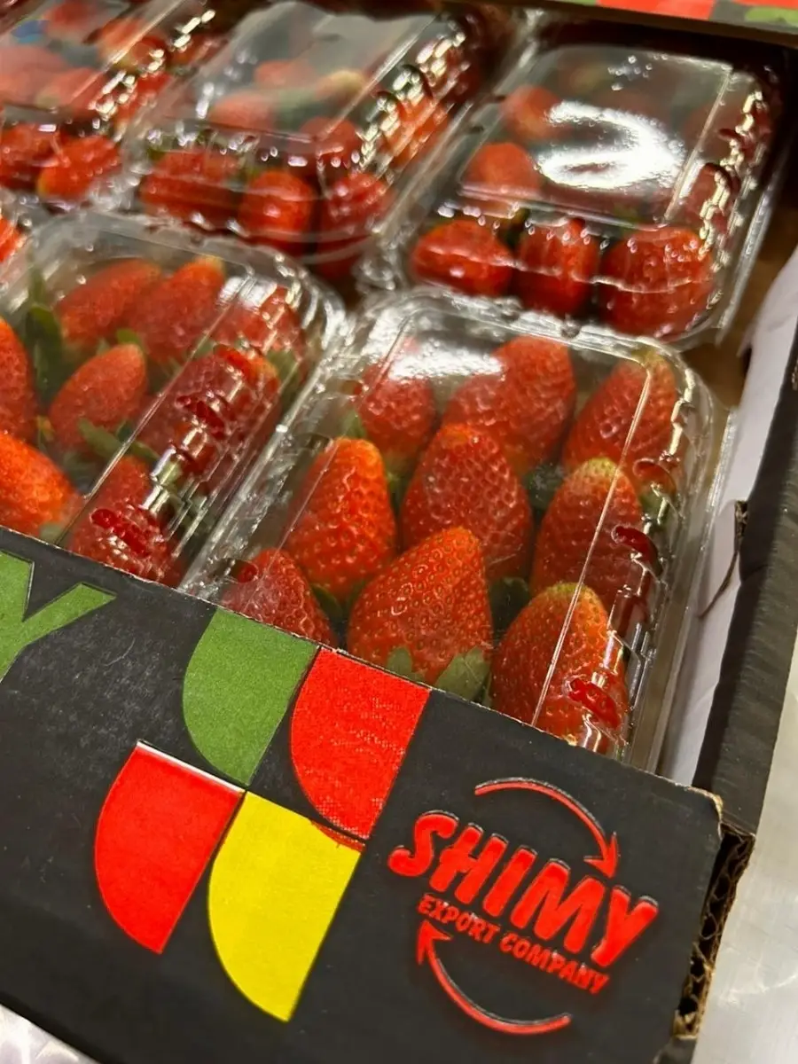 Fresh Strawberry