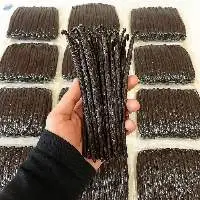 Vanilla Beans