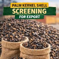Palm Kernel Shell (PKS) Screening