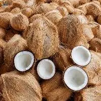 Semi Husked Coconut  