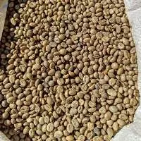 Robusta Coffee Beans (TaniToraja)