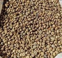 Robusta Coffee Beans (TaniToraja)