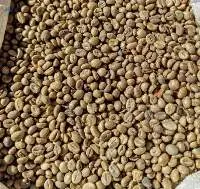 Robusta Coffee Beans (TaniToraja)