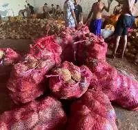 Premium Semi Husked Coconut Export