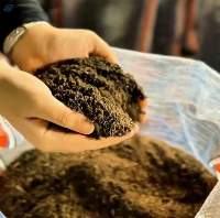 Organic Fertilizer Plus