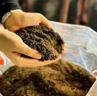 Organic Fertilizer Plus