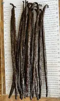 Vanilla Gourment Whole Beans