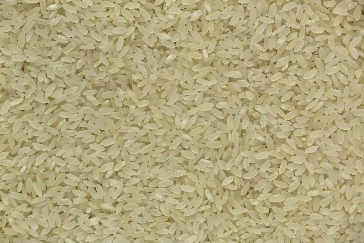 IR 64 Rice